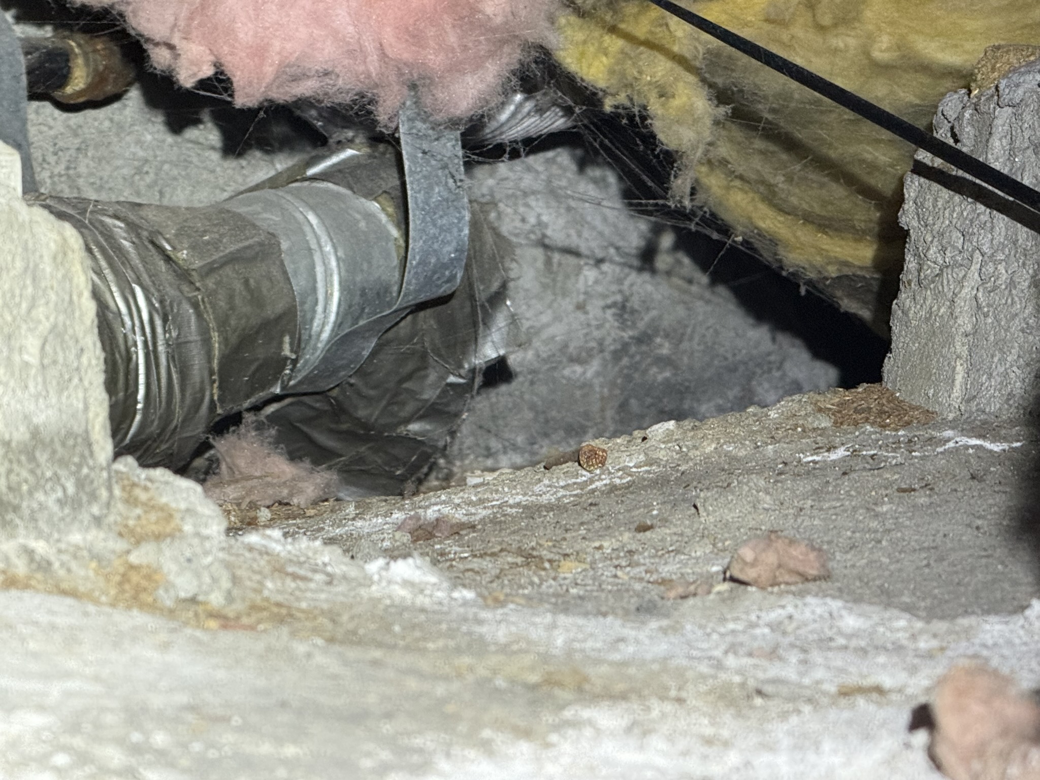 Flexible dryer vent duct in a crawl space heavily coated with lint on the exterior surface and surrounding insulation, sagging between supports and secured with a metal band clamp, illustrating prohibited semi-rigid concealed duct routing and severe lint accumulation