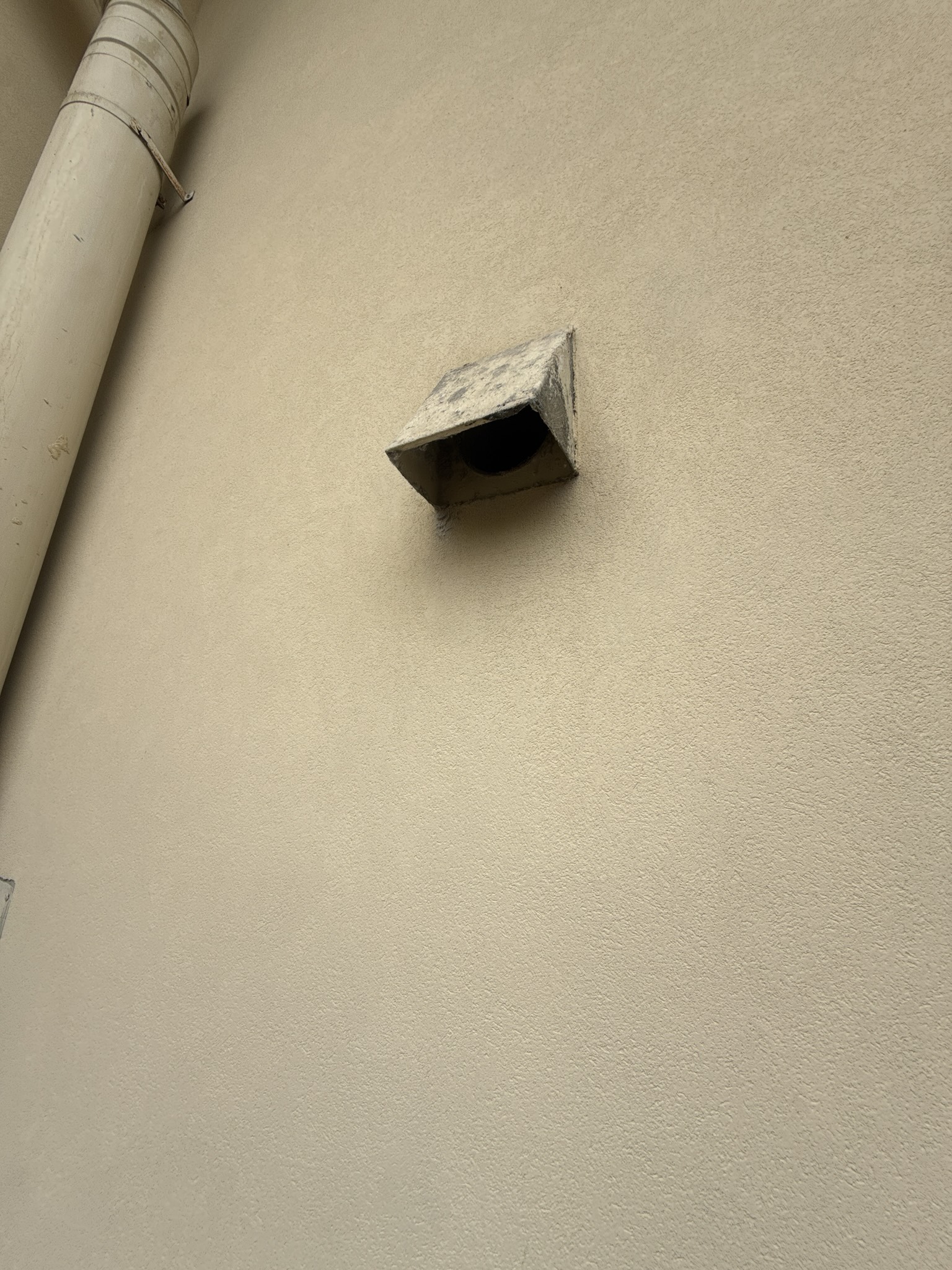 Exterior dryer vent hood mounted on a home in San Francisco, showing the cap in fair physical condition but missing the interior backdraft damper flap, making the installation non-compliant with IRC M1502.3