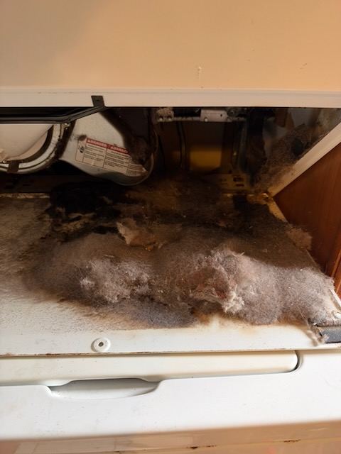 Dryer pulled forward revealing a thick blanket of gray lint covering the cabinet base underneath it, with dark scorched debris toward the back