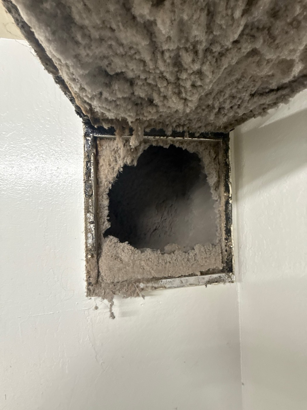 Interior of a dryer vent duct completely coated in thick fluffy lint showing extreme neglect in apartment building