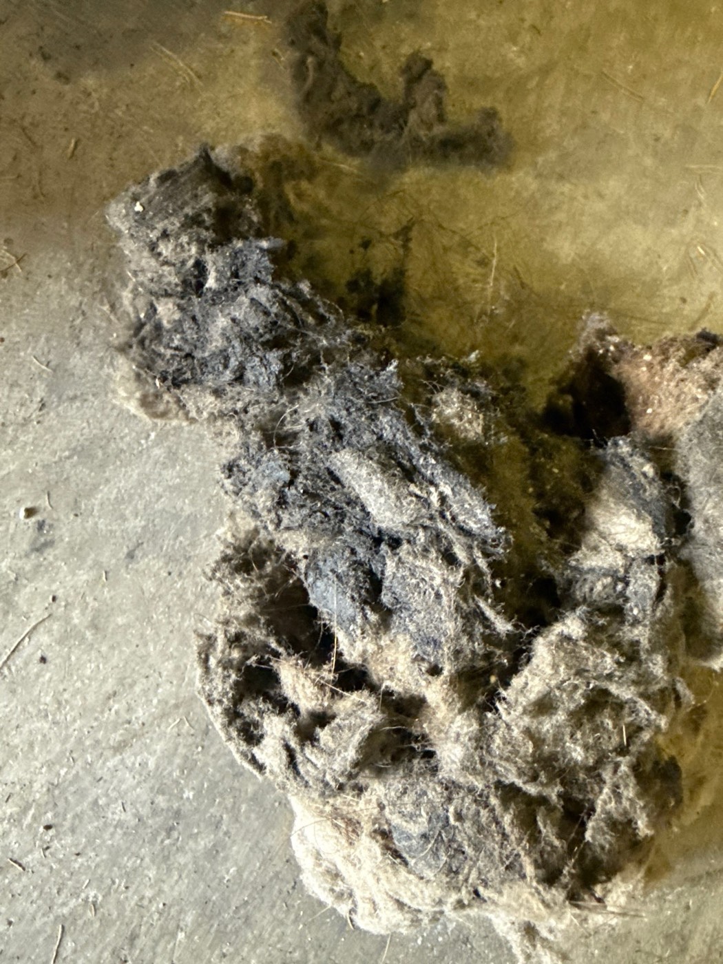 Large clump of compacted dryer lint on the laundry room floor that was expelled from the vent system