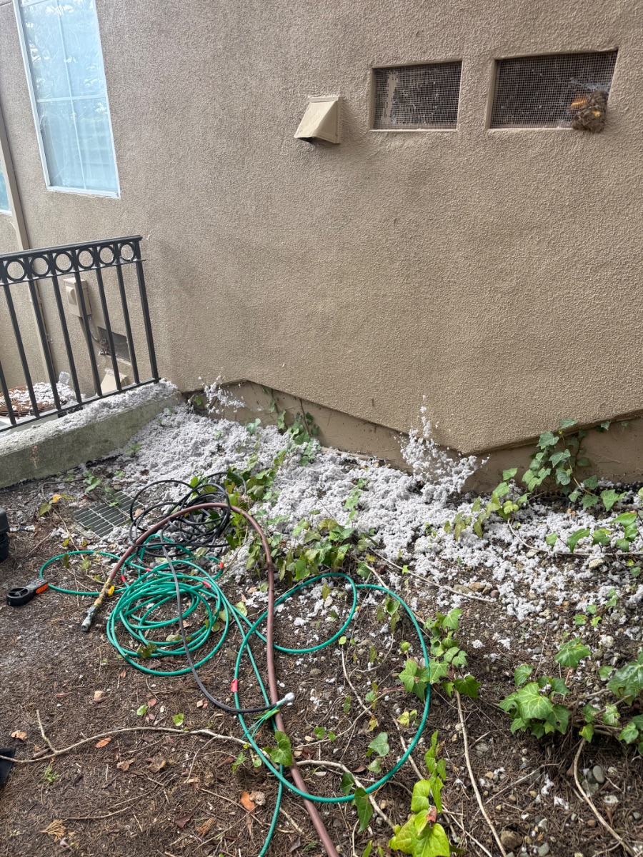 First Cleaning in 27 Years! in South San Francisco — photo 1 of 1